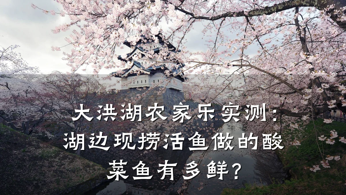 大洪湖农家乐实测：湖边现捞活鱼做的酸菜鱼有多鲜？