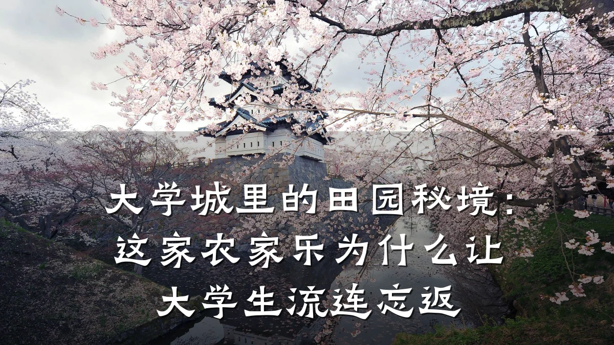 大学城里的田园秘境：这家农家乐为什么让大学生流连忘返