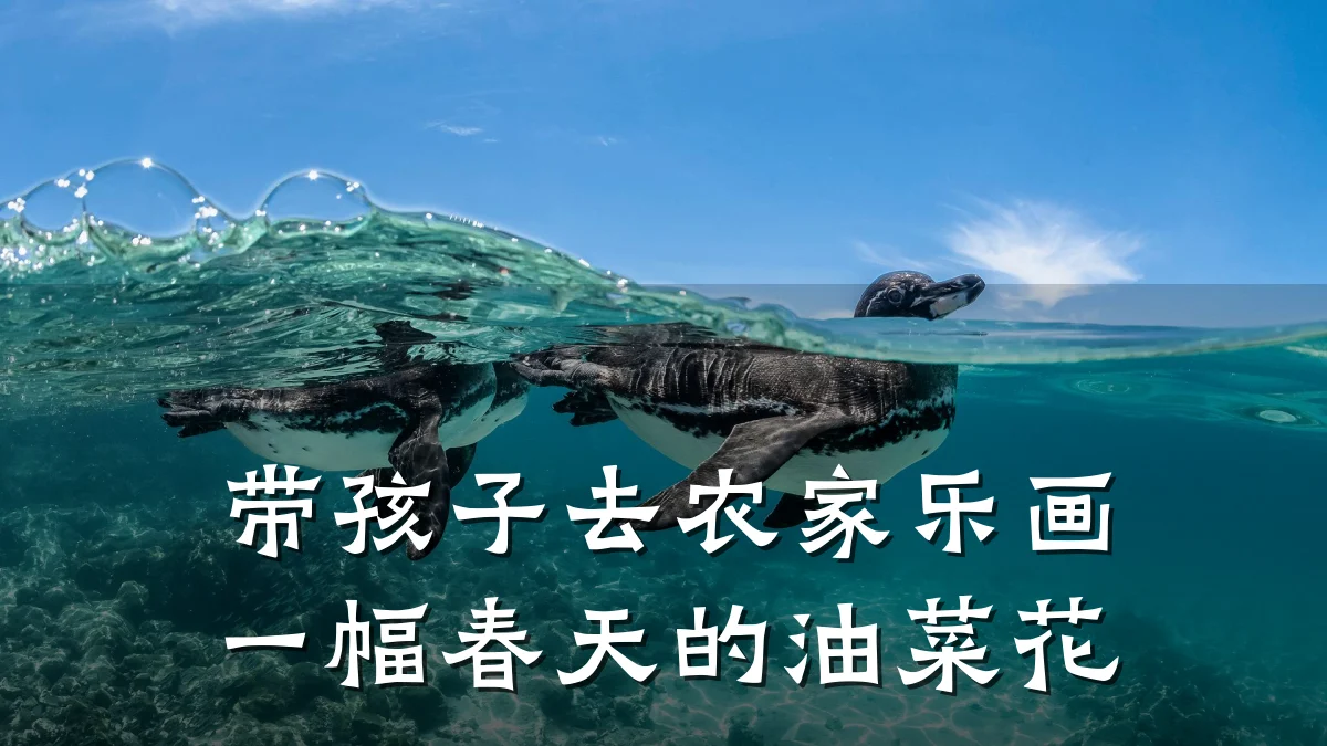 带孩子去农家乐画一幅春天的油菜花