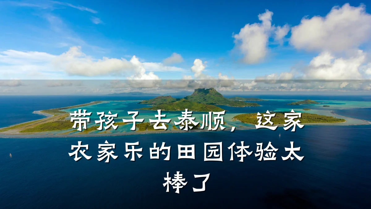 带孩子去泰顺,这家农家乐的田园体验太棒了