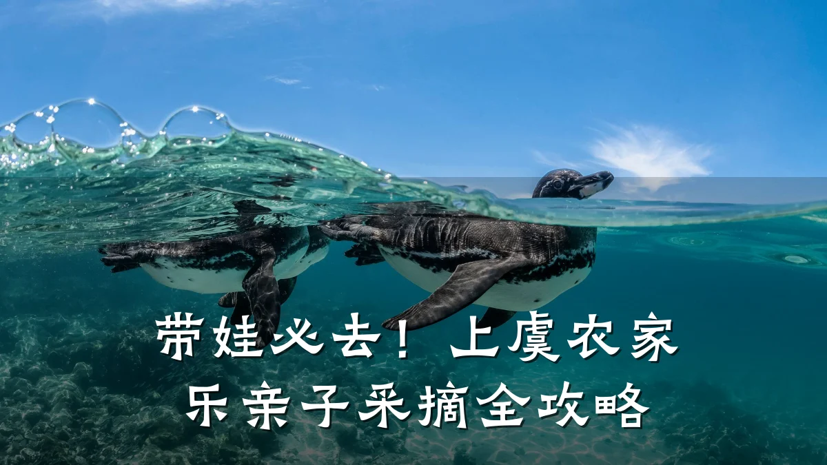 带娃必去！上虞农家乐亲子采摘全攻略