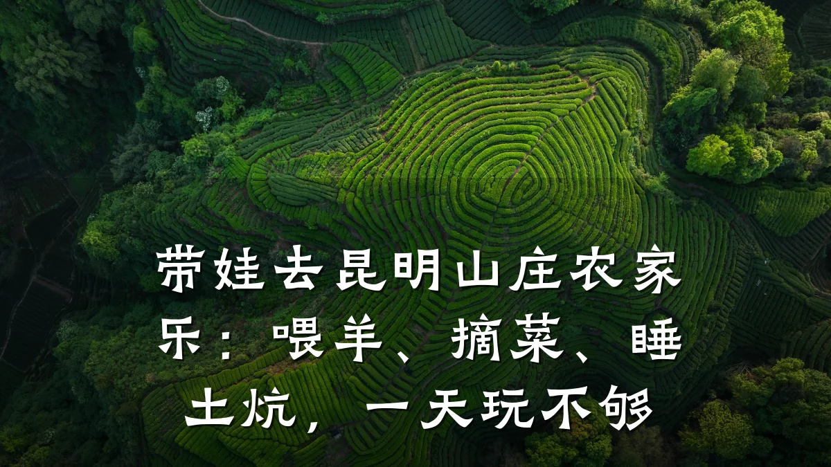 带娃去昆明山庄农家乐:喂羊、摘菜、睡土炕,一天玩不够