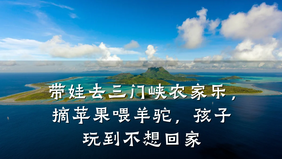 带娃去三门峡农家乐,摘苹果喂羊驼,孩子玩到不想回家