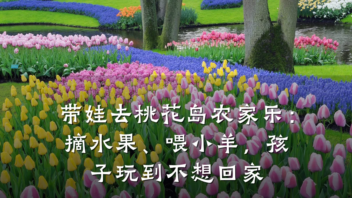 带娃去桃花岛农家乐:摘水果、喂小羊,孩子玩到不想回家