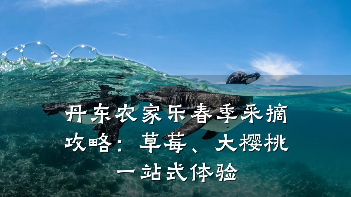 丹东农家乐春季采摘攻略:草莓、大樱桃一站式体验