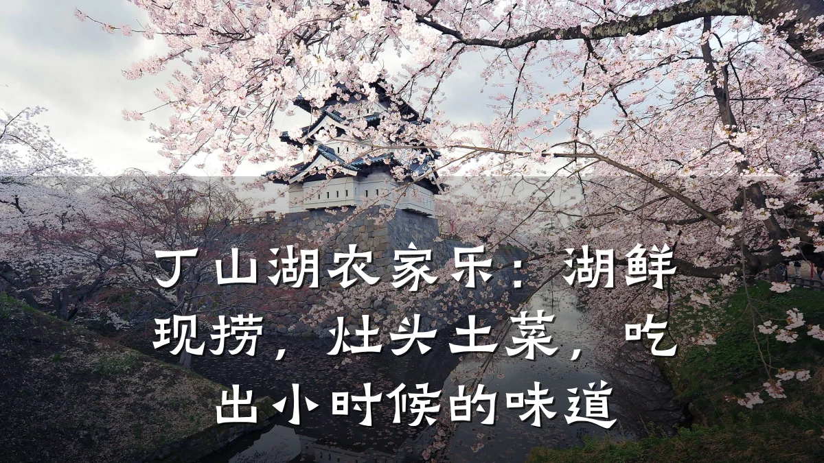 丁山湖农家乐：湖鲜现捞，灶头土菜，吃出小时候的味道