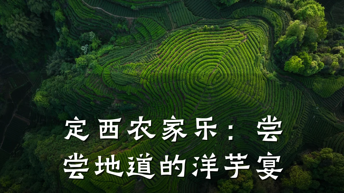 定西农家乐:尝尝地道的洋芋宴