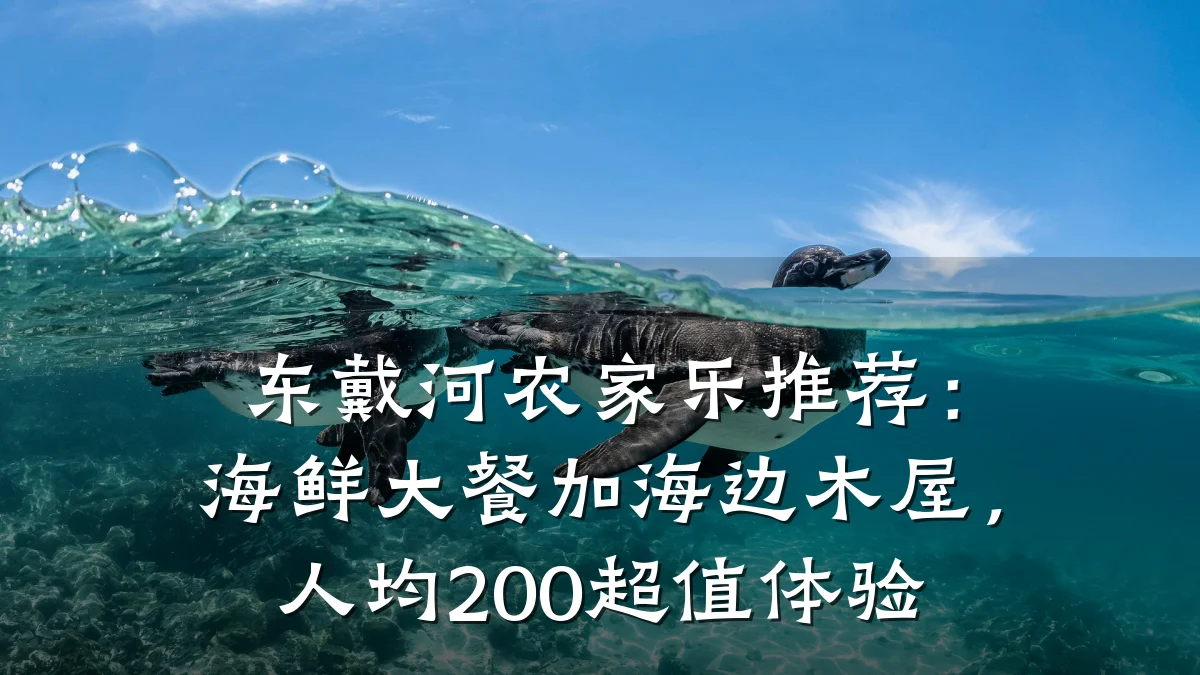 东戴河农家乐推荐:海鲜大餐加海边木屋,人均200超值体验