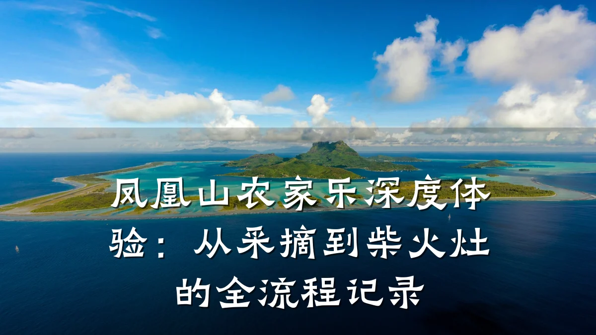 凤凰山农家乐深度体验:从采摘到柴火灶的全流程记录