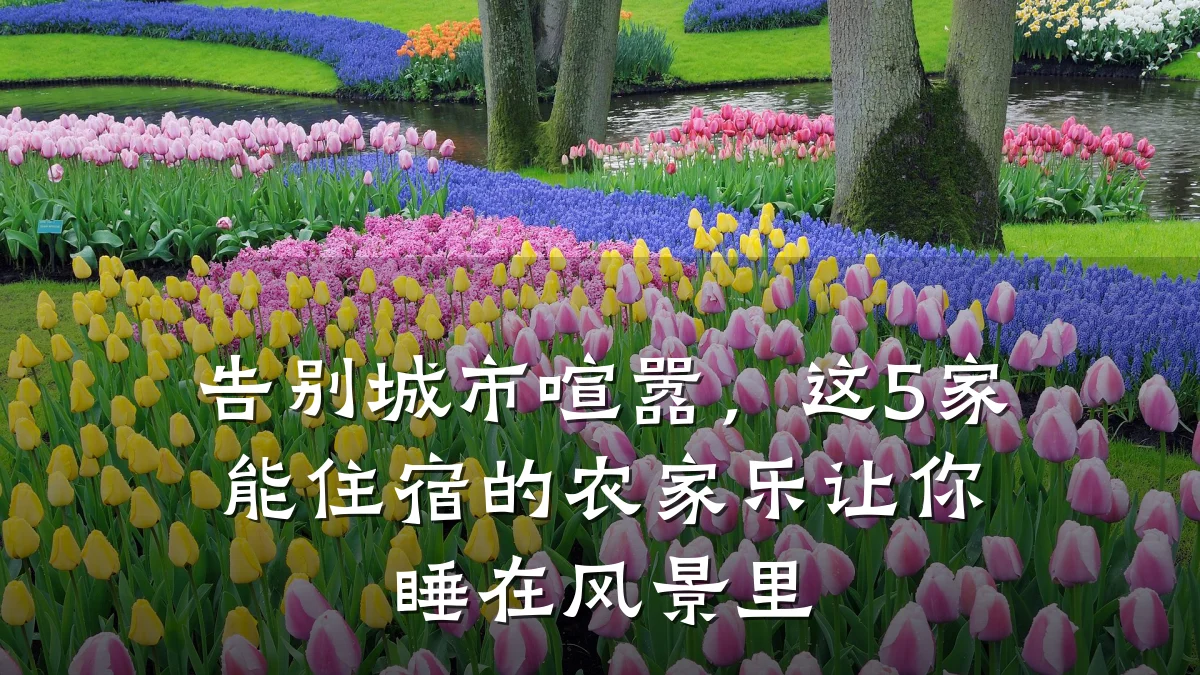 告别城市喧嚣,这5家能住宿的农家乐让你睡在风景里