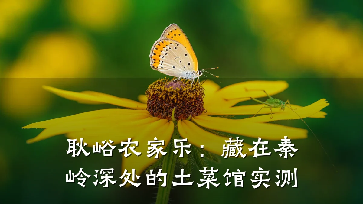 耿峪农家乐:藏在秦岭深处的土菜馆实测