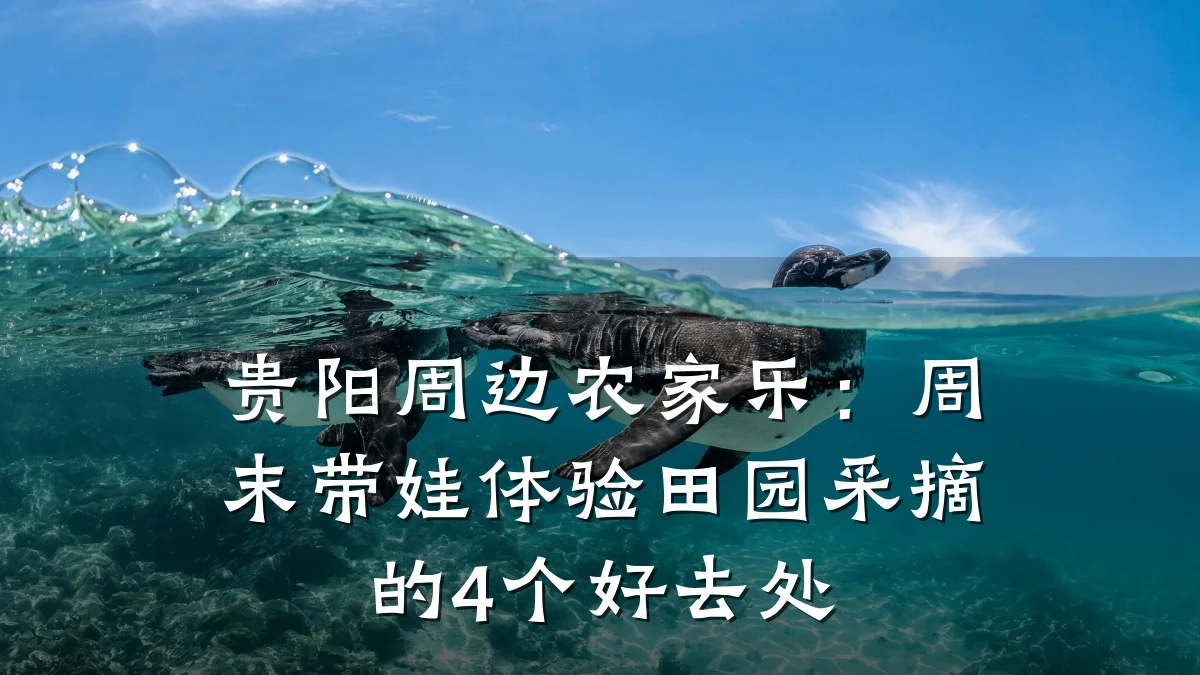 贵阳周边农家乐：周末带娃体验田园采摘的4个好去处