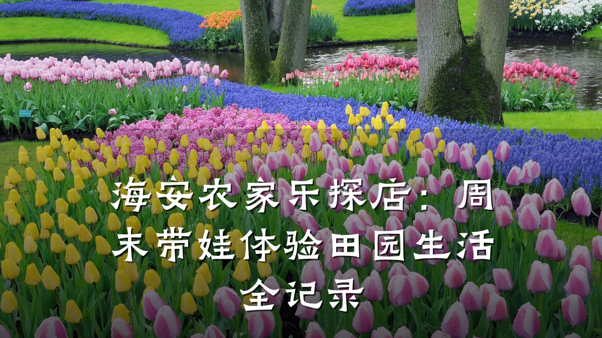 海安农家乐探店:周末带娃体验田园生活全记录