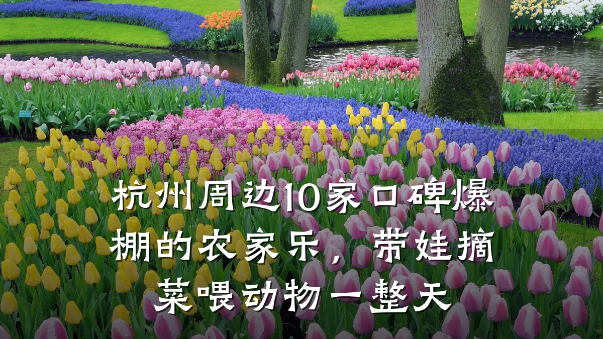 杭州周边10家口碑爆棚的农家乐,带娃摘菜喂动物一整天