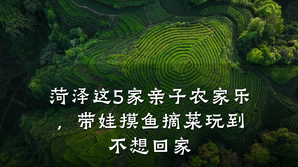 菏泽这5家亲子农家乐,带娃摸鱼摘菜玩到不想回家