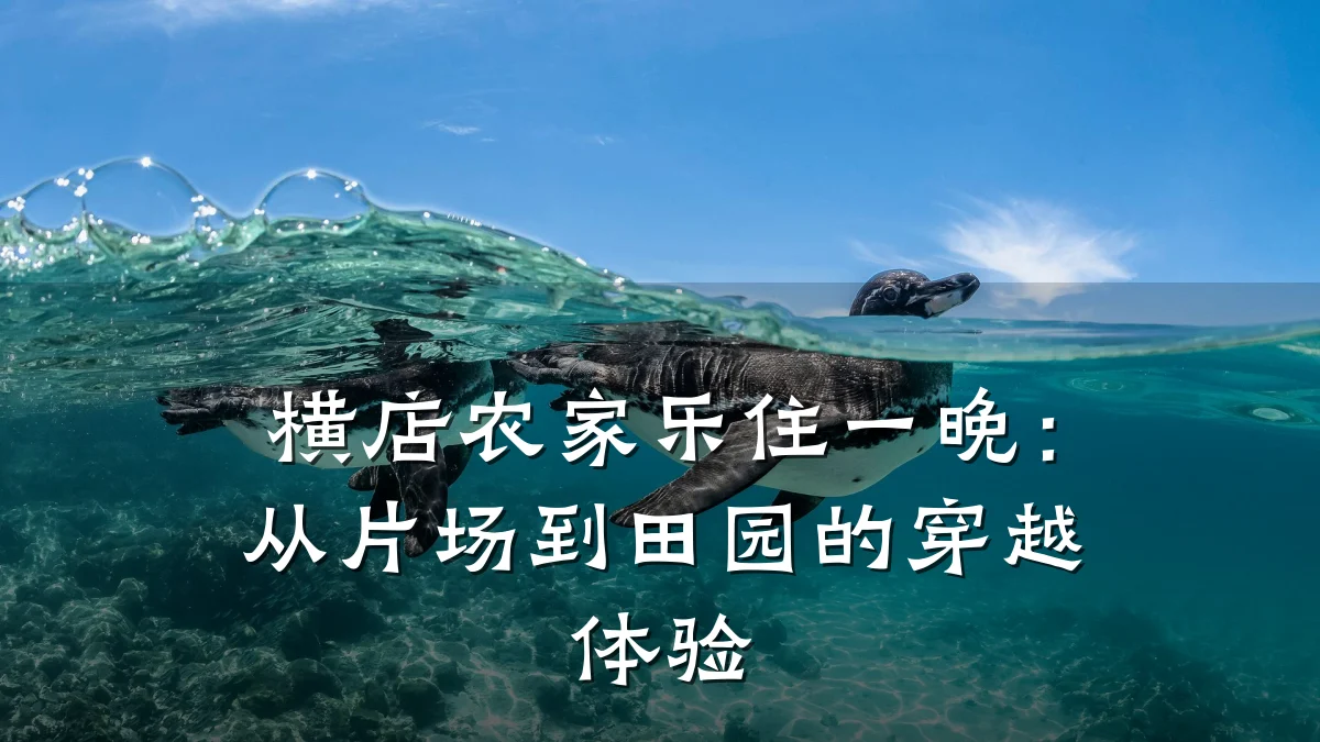 横店农家乐住一晚:从片场到田园的穿越体验