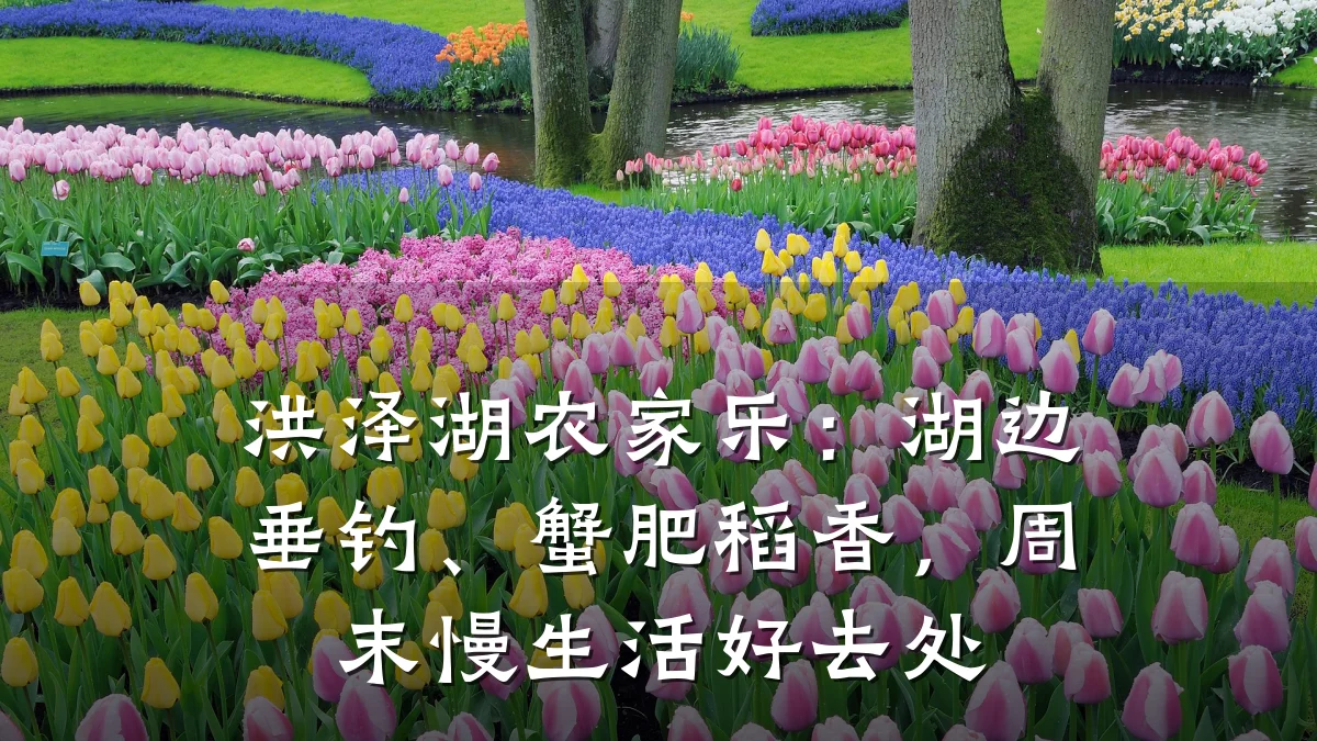 洪泽湖农家乐:湖边垂钓、蟹肥稻香,周末慢生活好去处