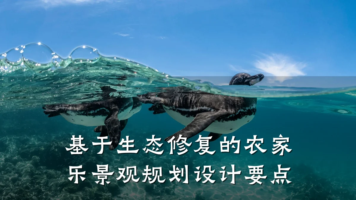 基于生态修复的农家乐景观规划设计要点