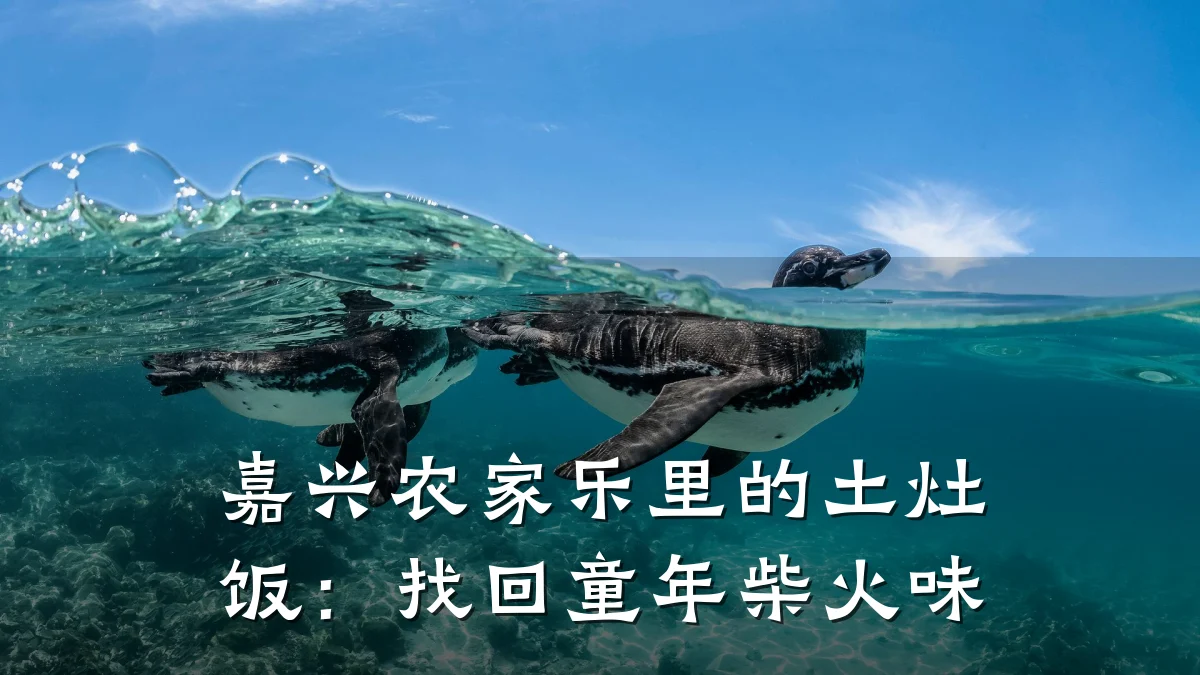 嘉兴农家乐里的土灶饭:找回童年柴火味