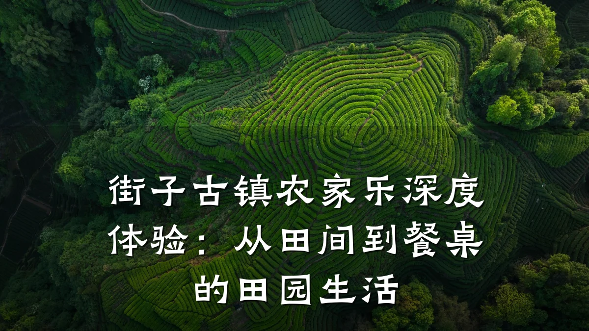 街子古镇农家乐深度体验:从田间到餐桌的田园生活
