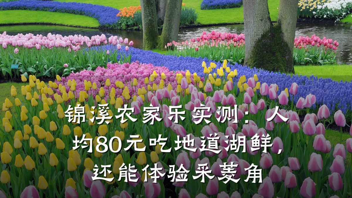 锦溪农家乐实测:人均80元吃地道湖鲜,还能体验采菱角