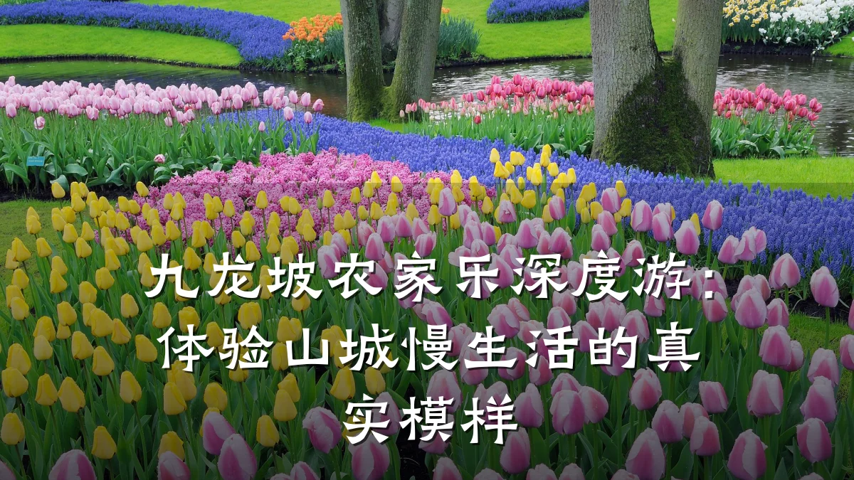 九龙坡农家乐深度游:体验山城慢生活的真实模样