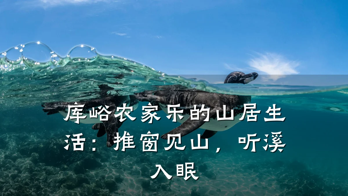 库峪农家乐的山居生活:推窗见山,听溪入眠