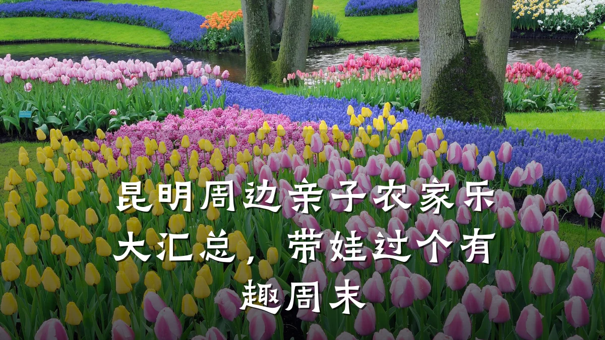 昆明周边亲子农家乐大汇总，带娃过个有趣周末