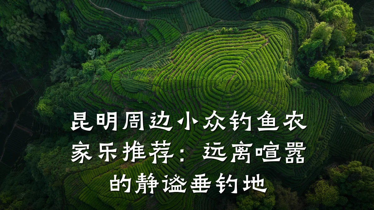 昆明周边小众钓鱼农家乐推荐：远离喧嚣的静谧垂钓地