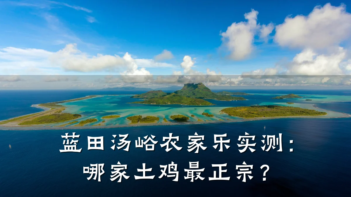 蓝田汤峪农家乐实测:哪家土鸡最正宗?