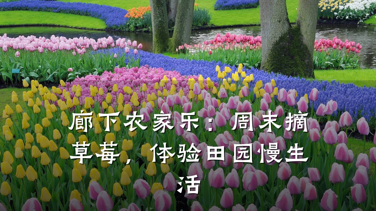 廊下农家乐:周末摘草莓,体验田园慢生活