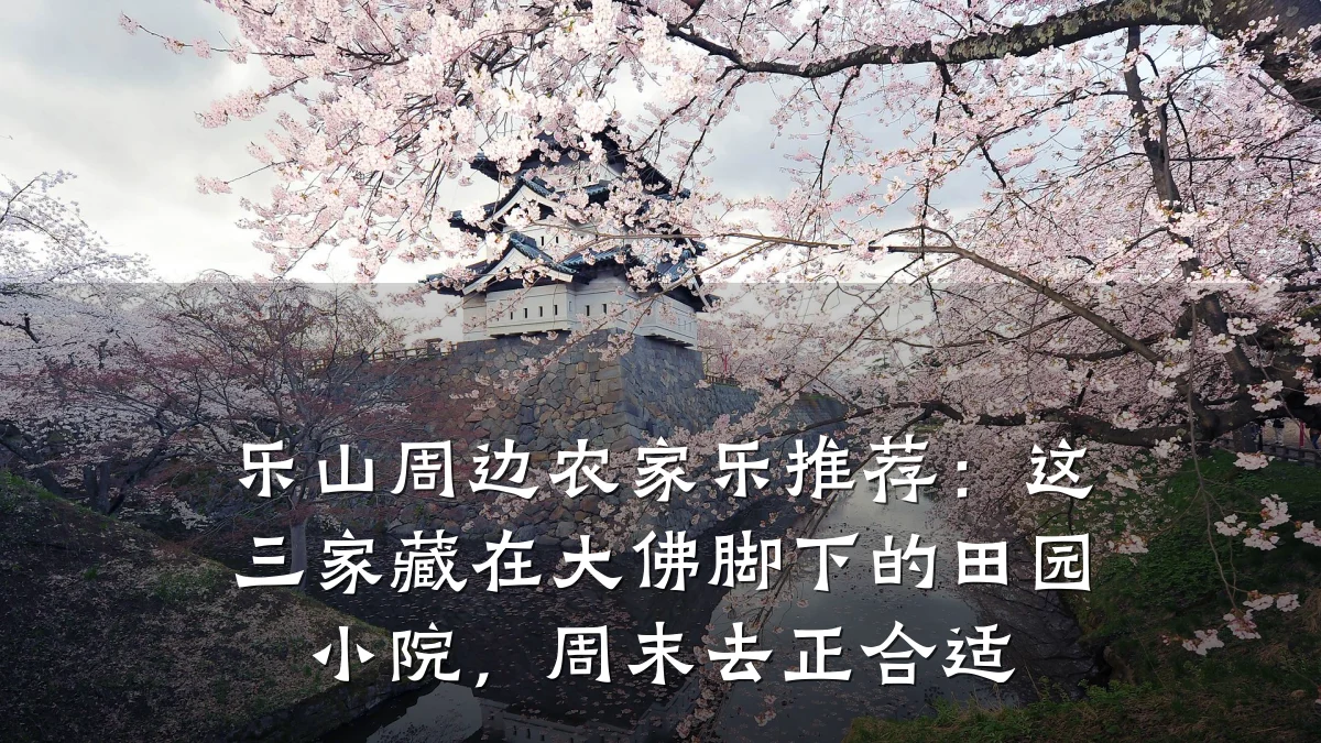 乐山周边农家乐推荐:这三家藏在大佛脚下的田园小院,周末去正合适