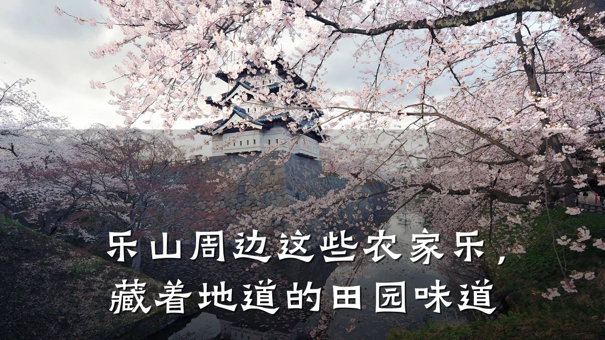 乐山周边这些农家乐,藏着地道的田园味道