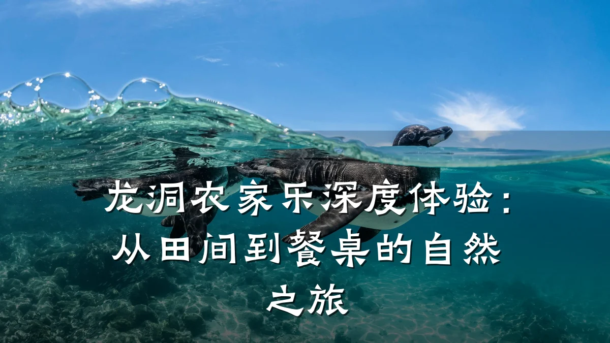 龙洞农家乐深度体验:从田间到餐桌的自然之旅