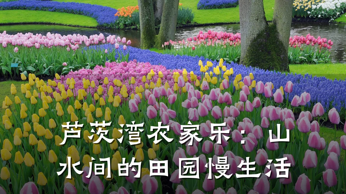 芦茨湾农家乐:山水间的田园慢生活