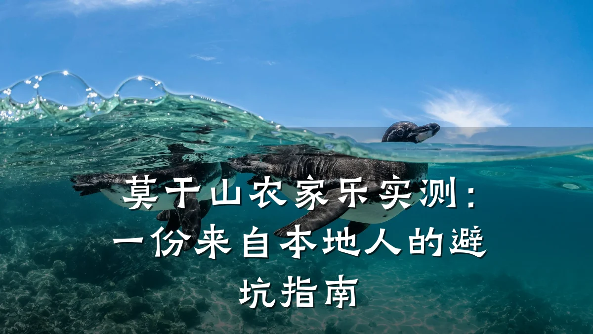 莫干山农家乐实测:一份来自本地人的避坑指南