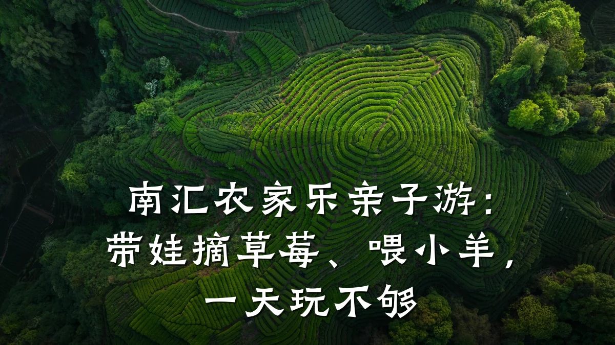 南汇农家乐亲子游:带娃摘草莓、喂小羊,一天玩不够