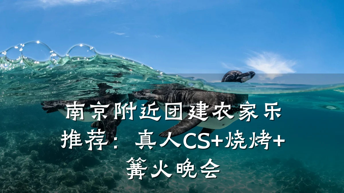 南京附近团建农家乐推荐:真人CS+烧烤+篝火晚会