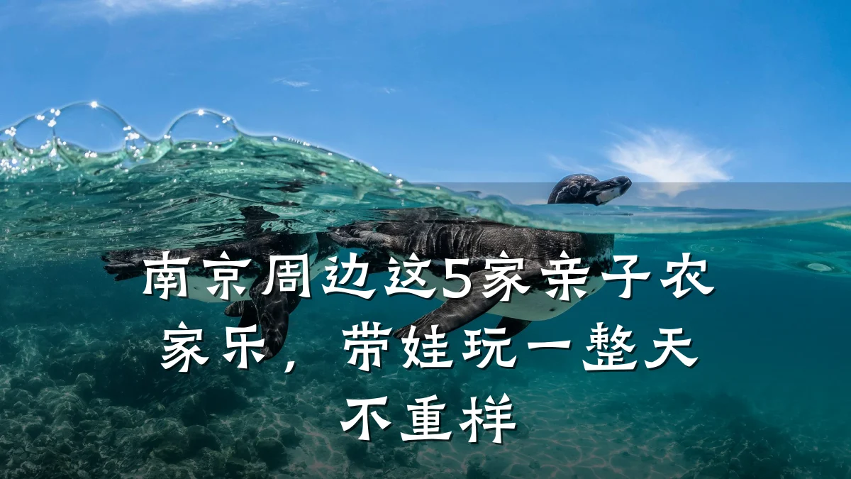 南京周边这5家亲子农家乐,带娃玩一整天不重样