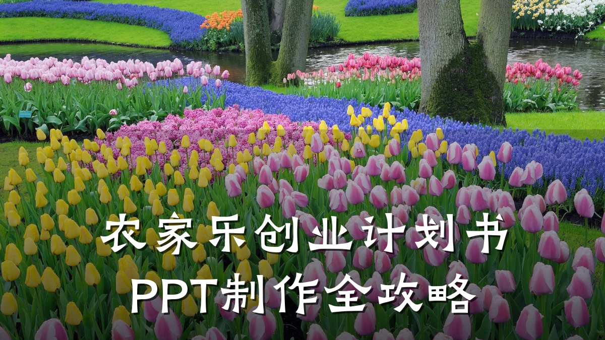 农家乐创业计划书PPT制作全攻略
