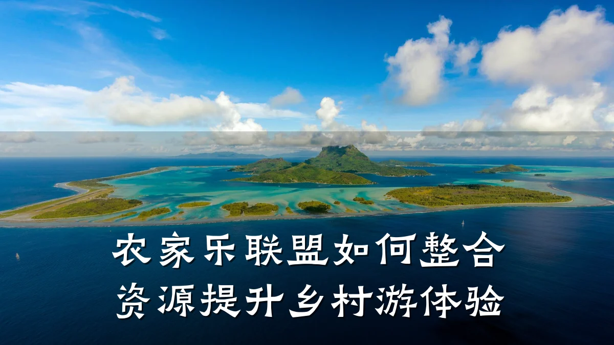 农家乐联盟如何整合资源提升乡村游体验