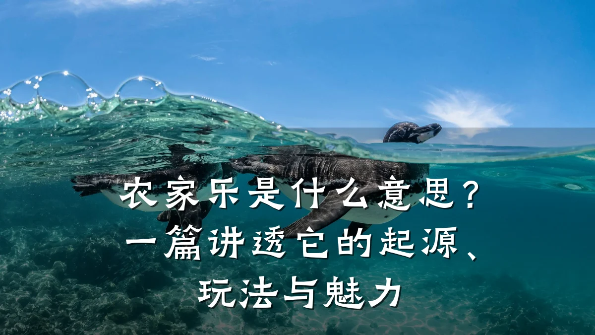 农家乐是什么意思?一篇讲透它的起源、玩法与魅力