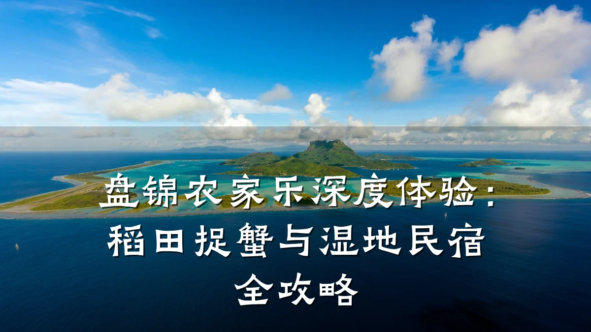 盘锦农家乐深度体验:稻田捉蟹与湿地民宿全攻略