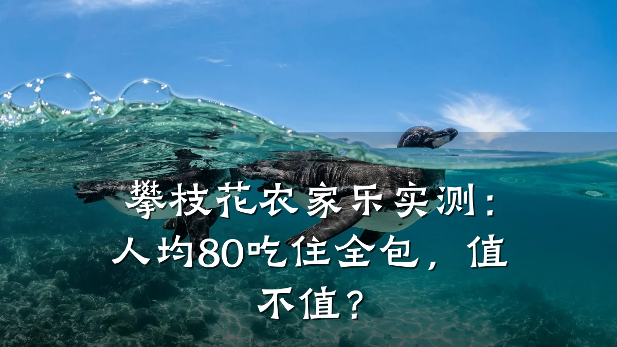 攀枝花农家乐实测:人均80吃住全包,值不值?