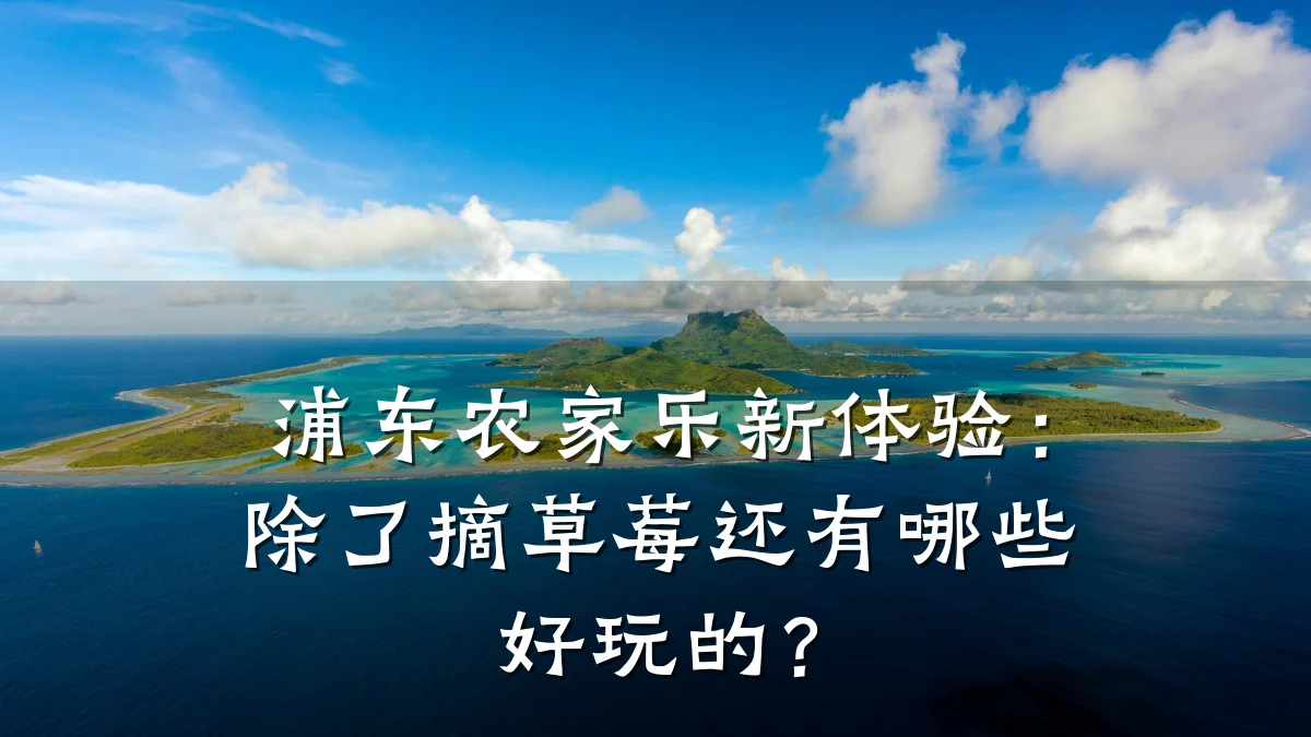 浦东农家乐新体验:除了摘草莓还有哪些好玩的?