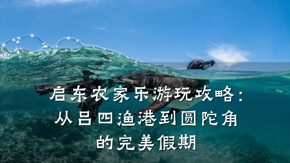 启东农家乐游玩攻略:从吕四渔港到圆陀角的完美假期