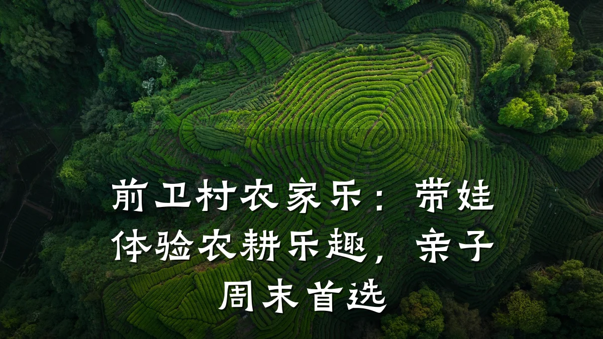 前卫村农家乐：带娃体验农耕乐趣，亲子周末首选