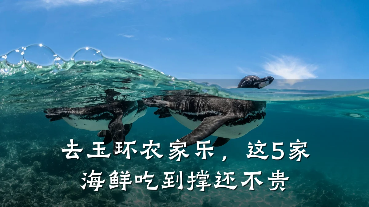 去玉环农家乐,这5家海鲜吃到撑还不贵