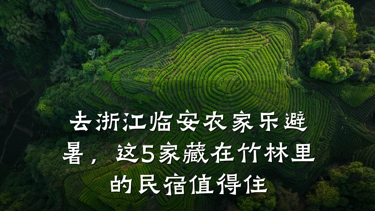 去浙江临安农家乐避暑,这5家藏在竹林里的民宿值得住