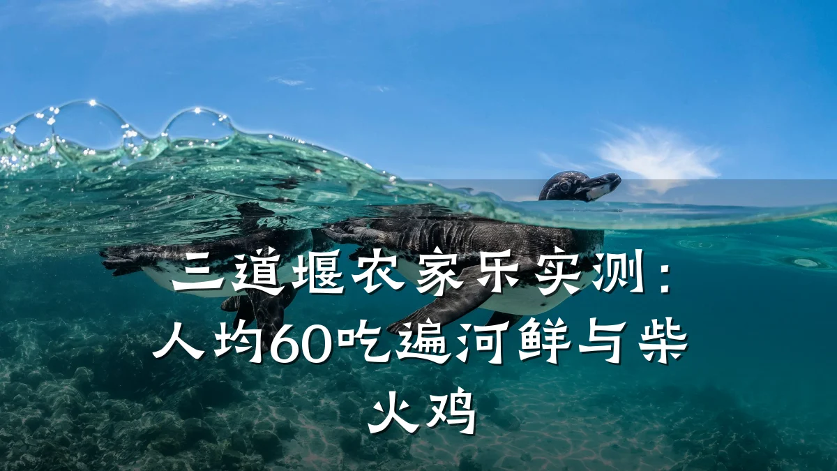 三道堰农家乐实测:人均60吃遍河鲜与柴火鸡